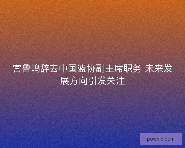 宫鲁鸣辞去中国篮协副主席职务 未来发展方向引发关注